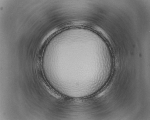 X0000077400827200611101818