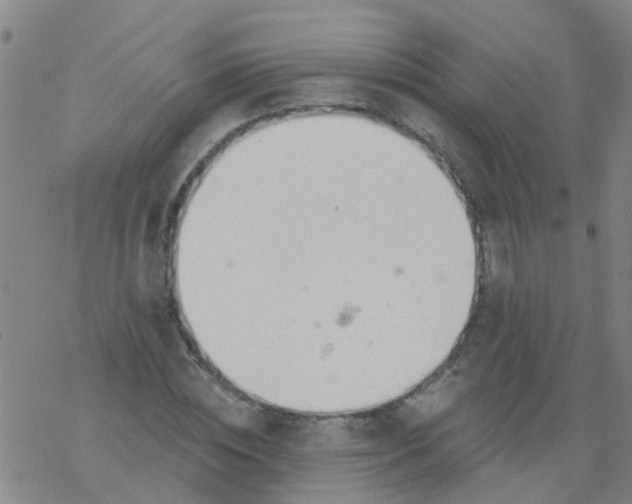 X0000077400828200611101818