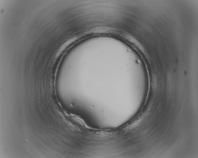 X0000077400829200611101818