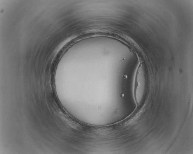 X0000077400830200611101818