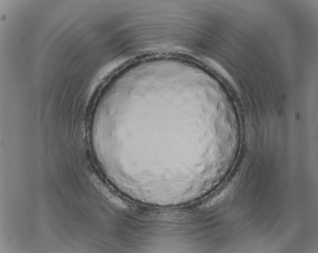 X0000077400831200611101818