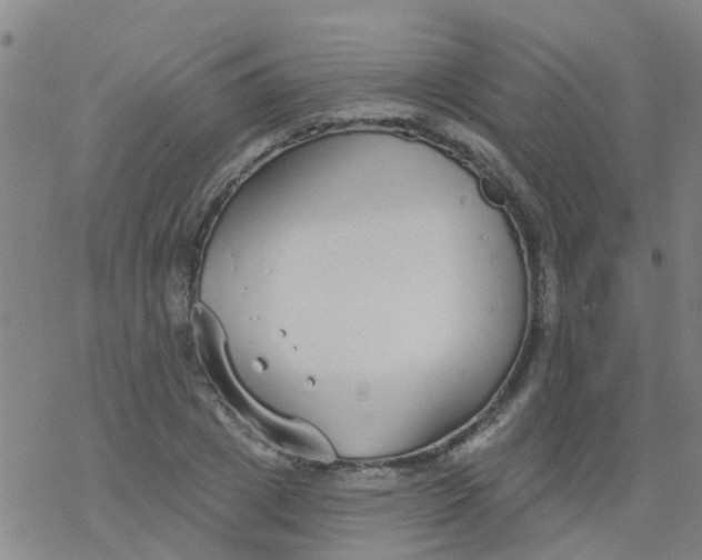 X0000077400833200611101818