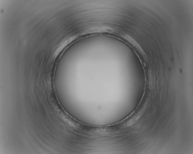 X0000077400834200611101818