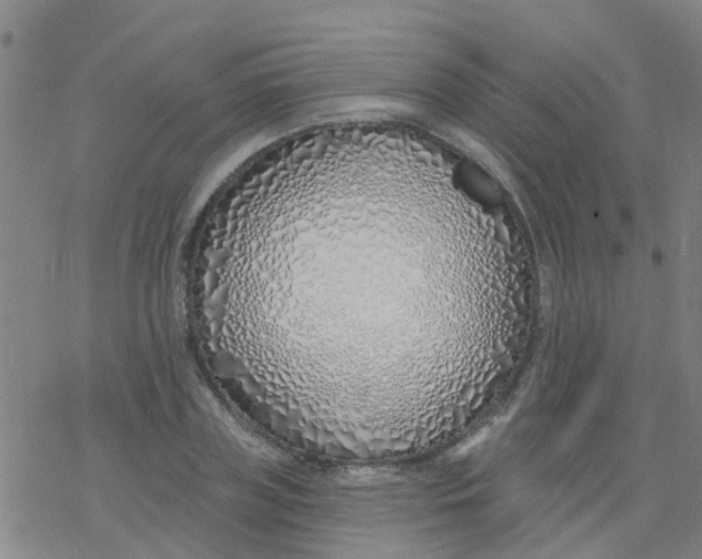 X0000077400835200611101818