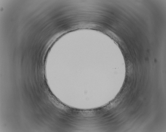 X0000077400836200611101818