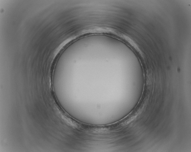 X0000077400837200611101818