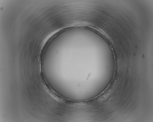 X0000077400838200611101818