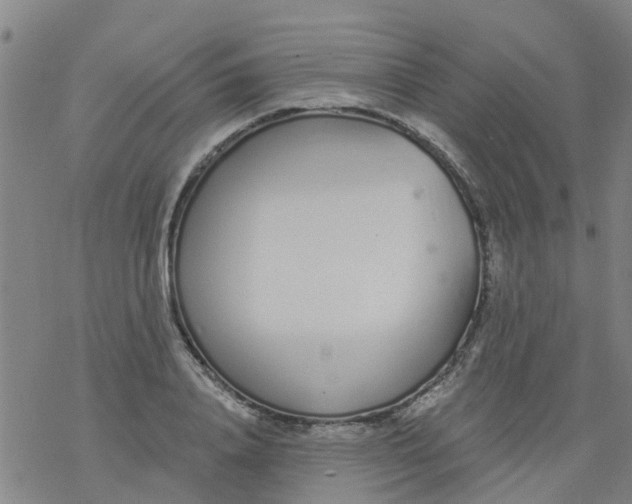 X0000077400840200611101818