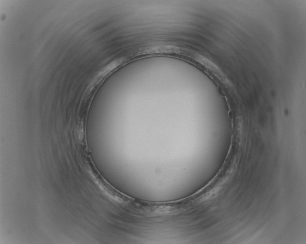 X0000077400841200611101818