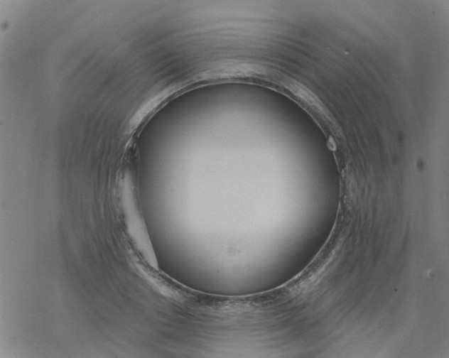 X0000077400842200611101818