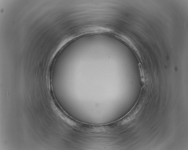 X0000077400843200611101818