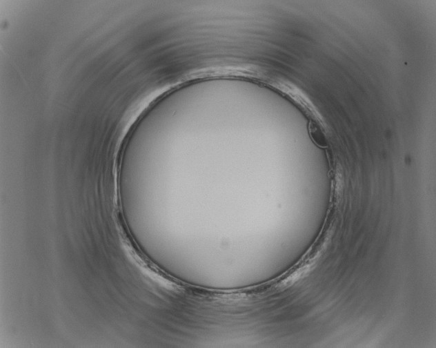 X0000077400844200611101818