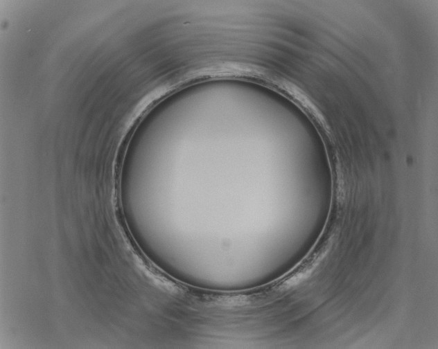 X0000077400845200611101818