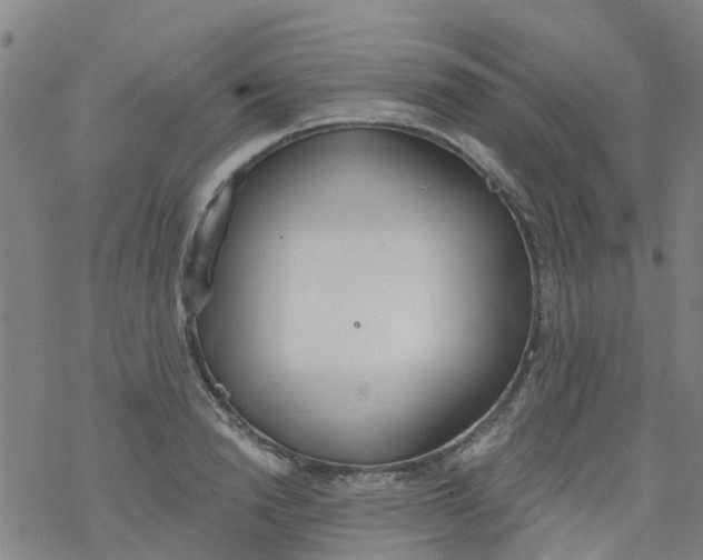 X0000077400846200611101818