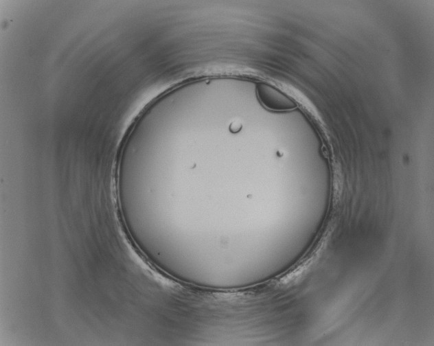 X0000077400847200611101818