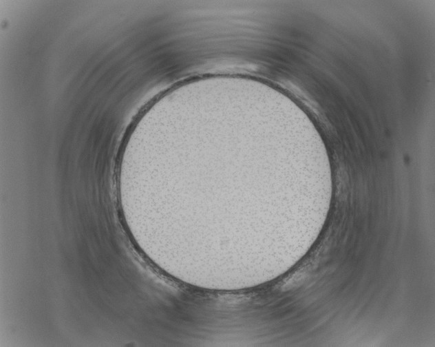 X0000077400848200611101818