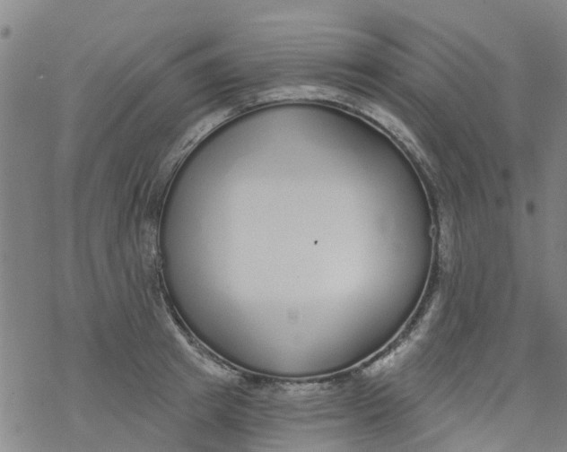 X0000077400849200611101818