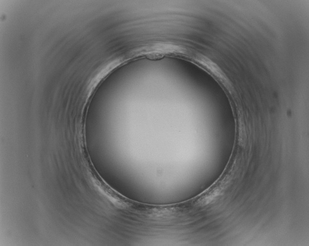 X0000077400850200611101818