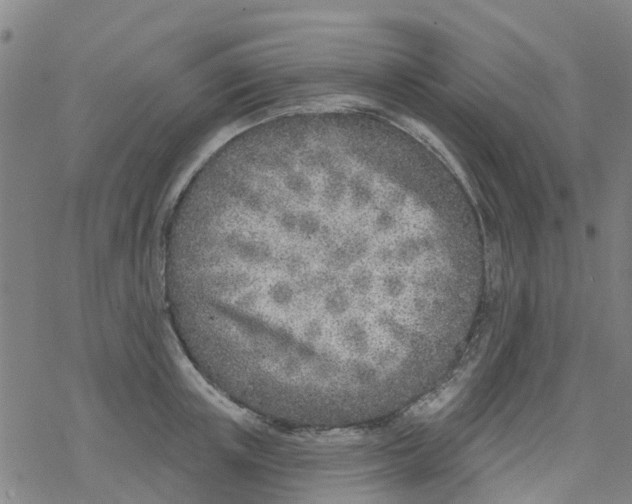 X0000077400851200611101818