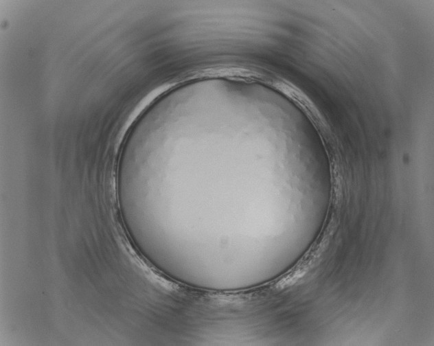 X0000077400852200611101818