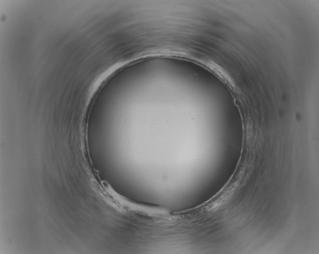 X0000077400854200611101818