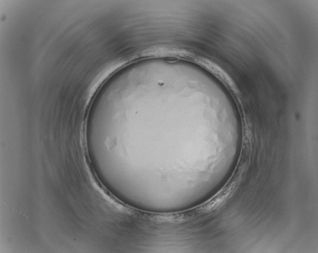 X0000077400855200611101818