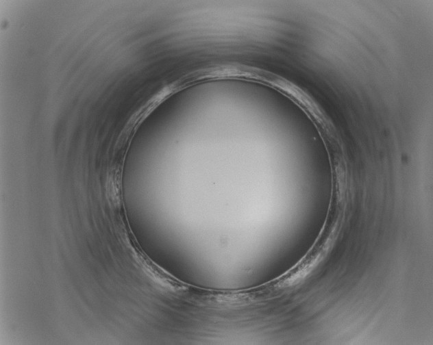 X0000077400857200611101818