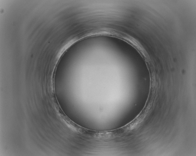 X0000077400858200611101818