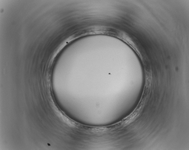 X0000077400859200611101818