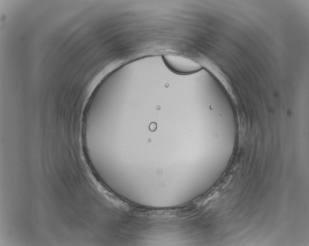 X0000077400861200611101818