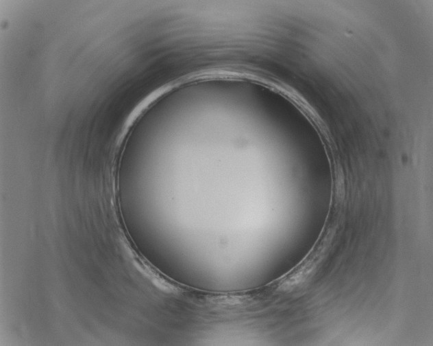 X0000077400862200611101818