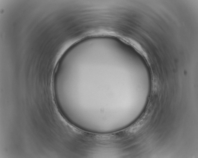 X0000077400863200611101818