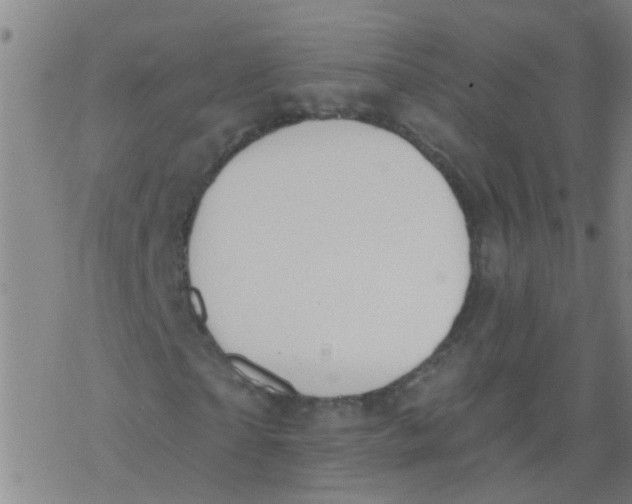 X0000077400865200611101818