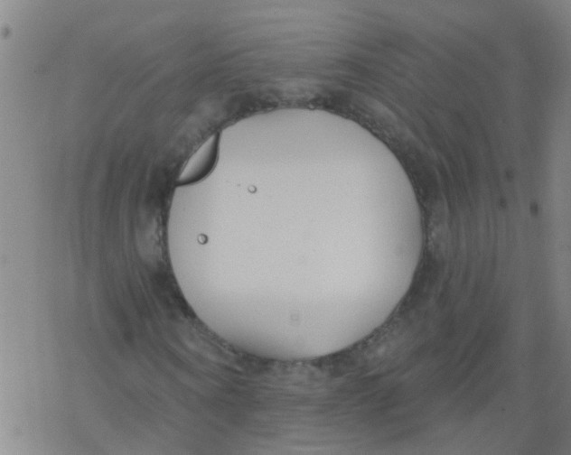 X0000077400866200611101817