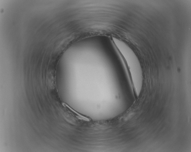 X0000077400868200611101817