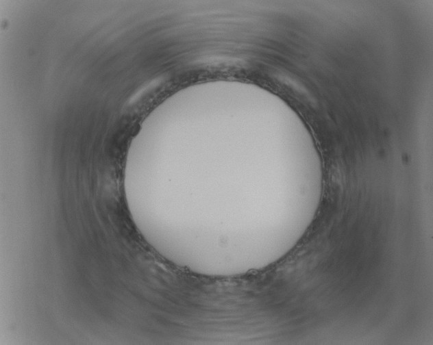 X0000077400869200611101817