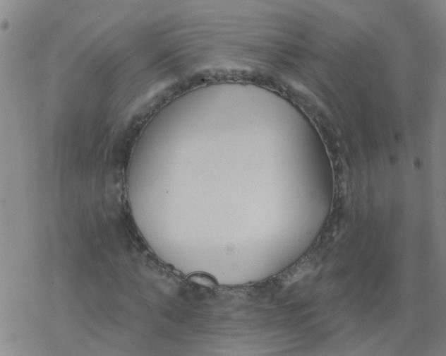 X0000077400870200611101817