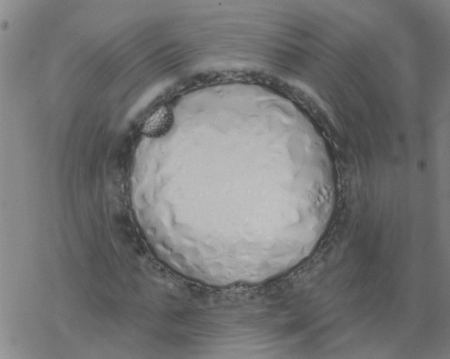 X0000077400871200611101817