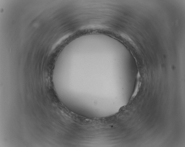 X0000077400872200611101817