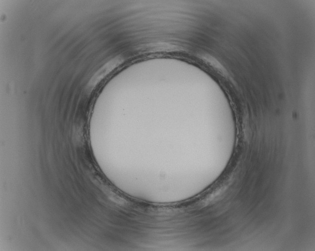 X0000077400873200611101817