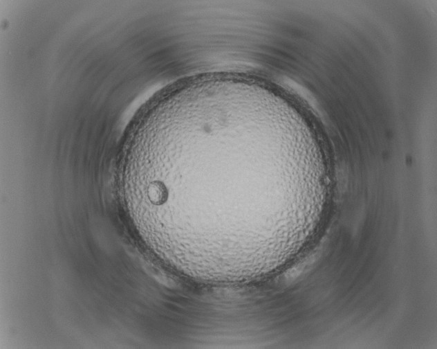 X0000077400875200611101817