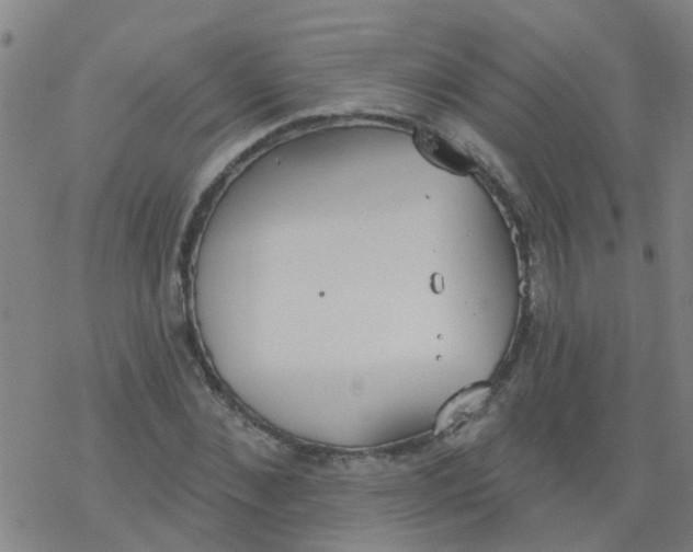 X0000077400876200611101817