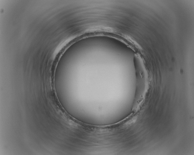 X0000077400877200611101817