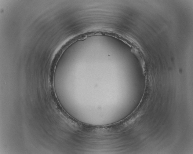 X0000077400880200611101817