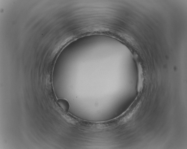 X0000077400881200611101817