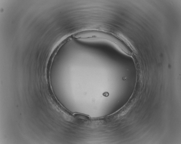 X0000077400884200611101817