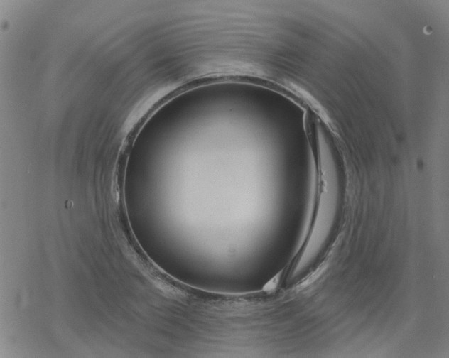 X0000077400885200611101817