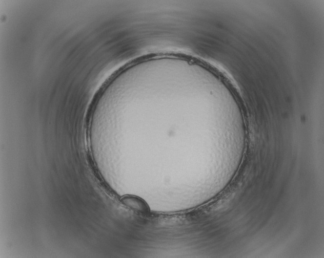 X0000077400887200611101817