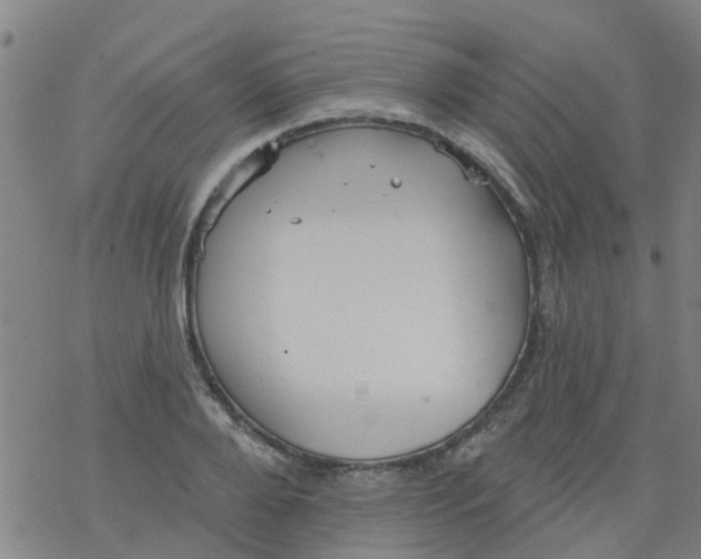 X0000077400888200611101817