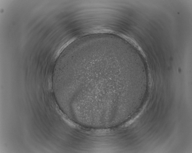 X0000077400889200611101817